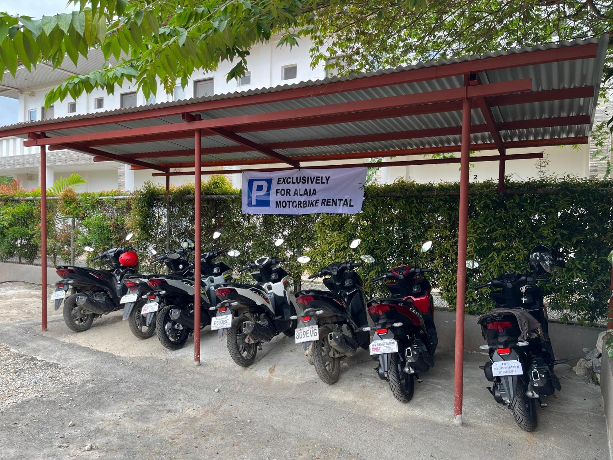 Alaia Studios Panglao Eksteriør billede