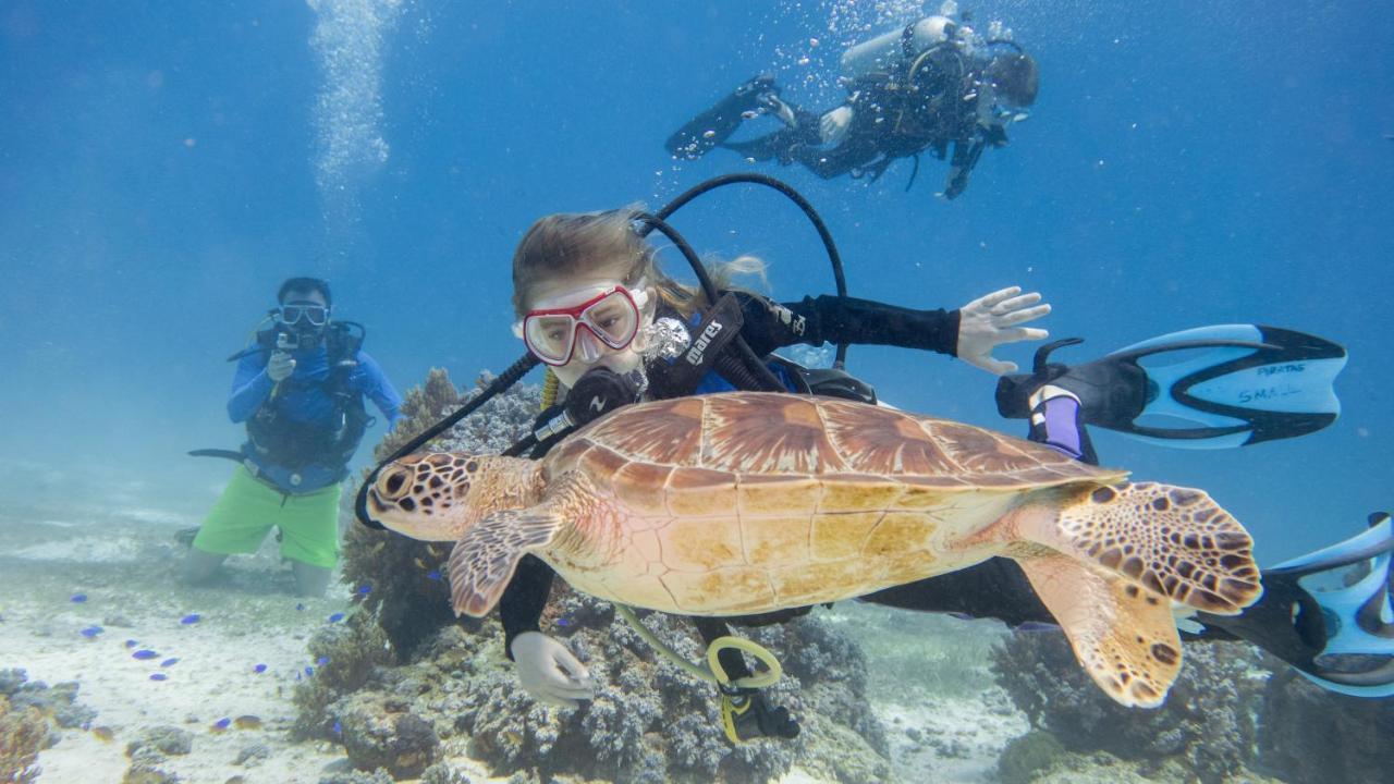 Alaia Studios Panglao Eksteriør billede